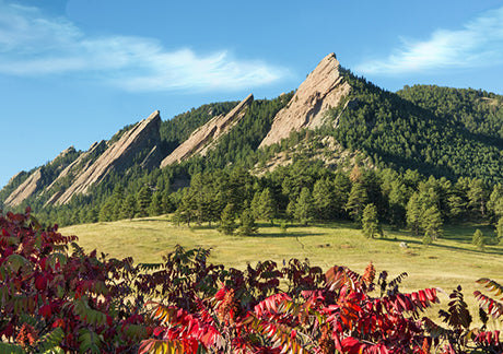 A Shout Out to Our Most Favorite Healthy Snack Brands