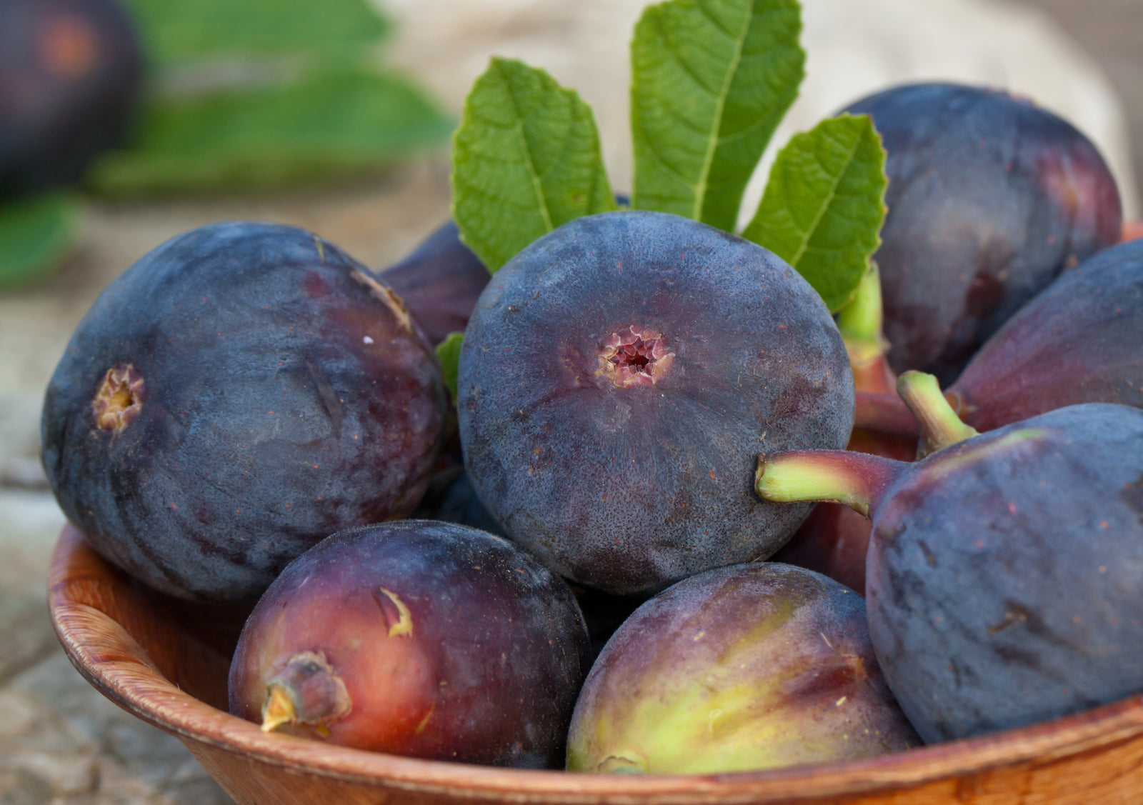 Fresh Figs