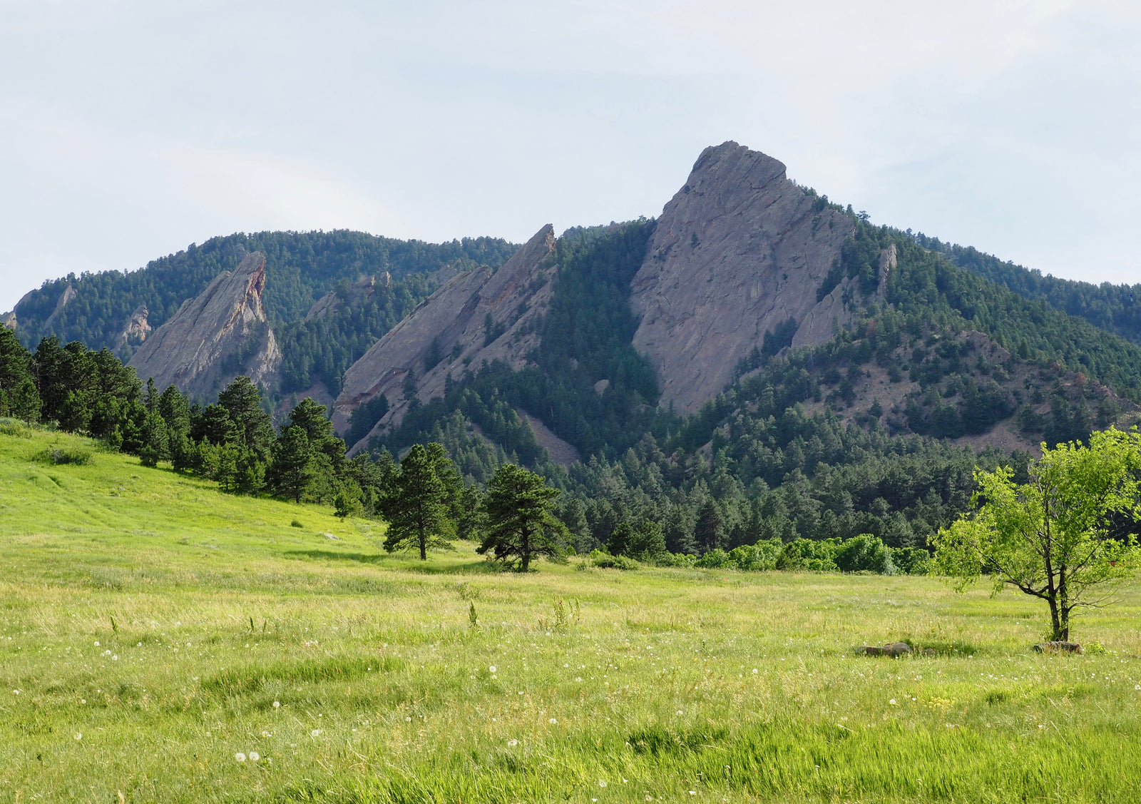 Guest Post: Get Outside with Food to Feel Good