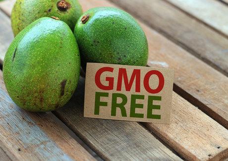 Non-GMO Project: GMOs in Meat, Water and Dairy – Should You Worry?