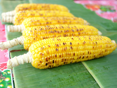 31 Days of Delicious Summer Corn Recipes