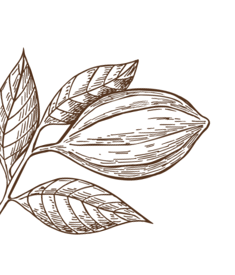 chocolate pod