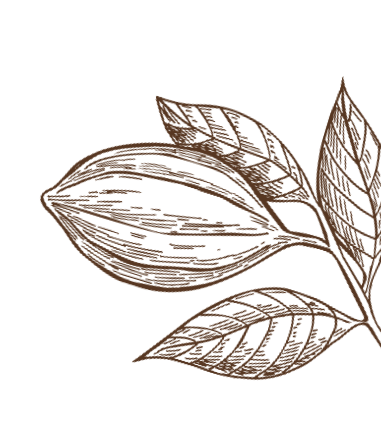 chocolate pod