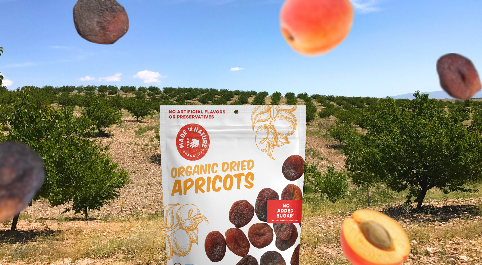Malatya, Turkey: Dried Apricots