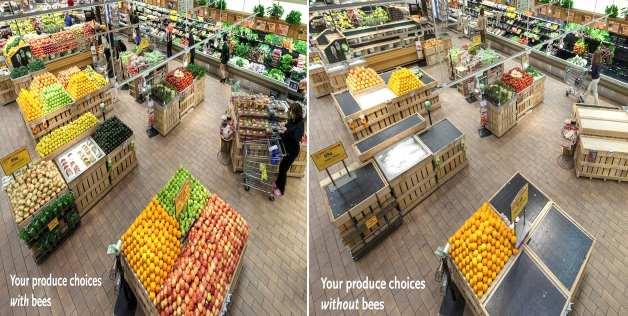 store with bees and without bees