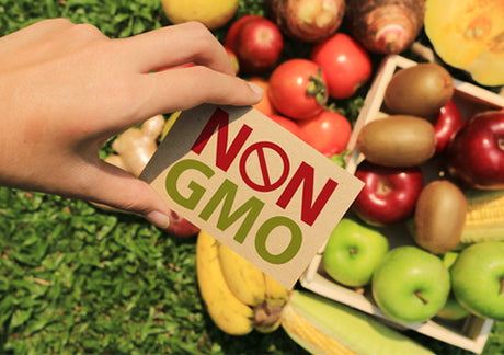 Join Us in Saying No to “Frankenfood!” One Easy Action You Can Take NOW to Encourage GMO Labeling