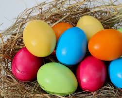 eggs in nest
