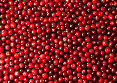 cranberry benefits