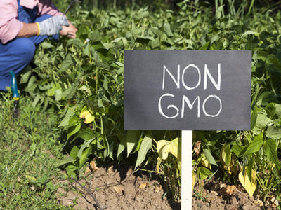 How Bad are GMOs For Your Health? Here’s the GMO Health Science